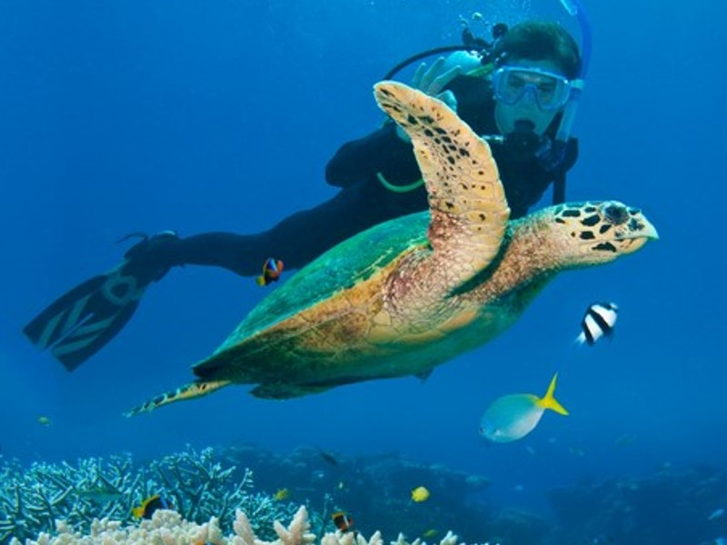 Benefits of Prescription Scuba Mask When Diving with Poor Vision